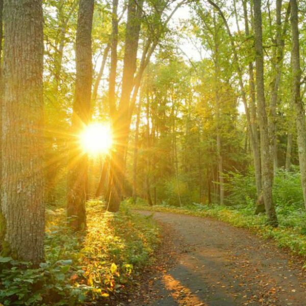 Kleurenreading (auralezen)